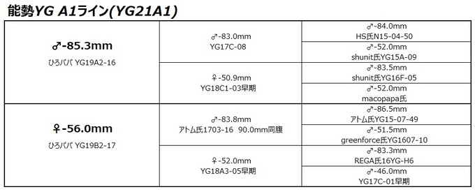 YG21A1ライン