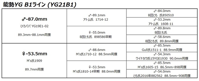 YG21B1ライン