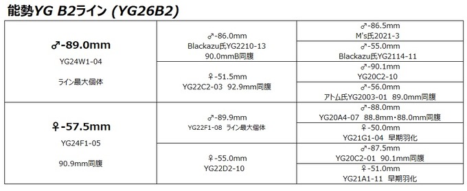 YG26B2ライン