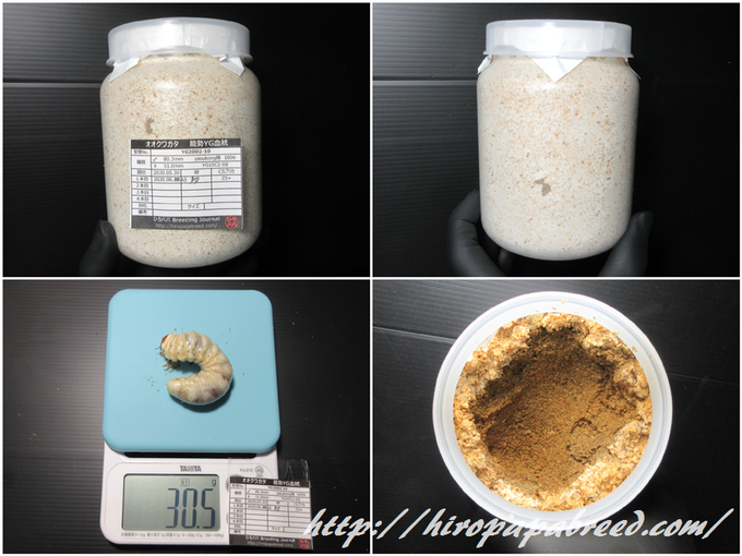 YG20D2-10