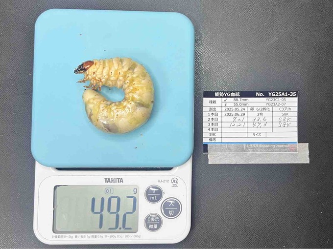 FullSizeRender