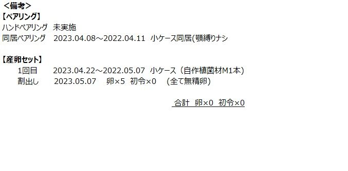 E2セット