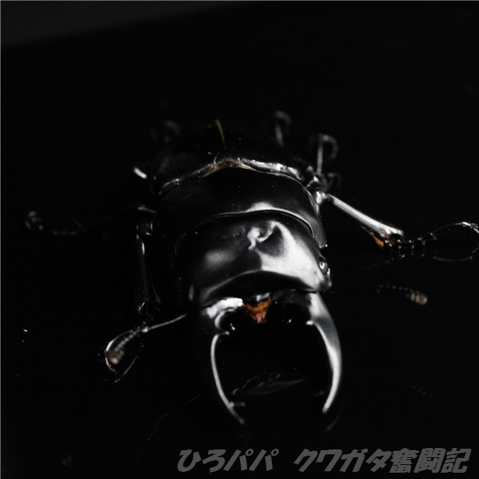 IMG_5477 (2)