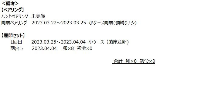 B4セット