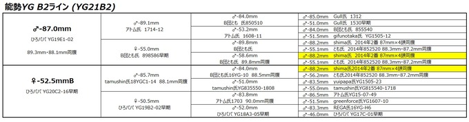 B2ライン