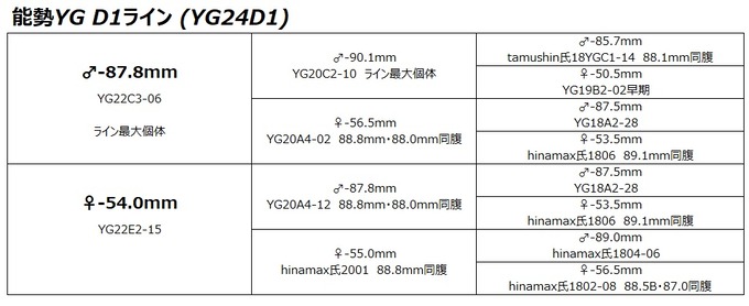 YG24D1