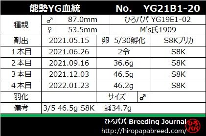 YG21B1-20ラベル