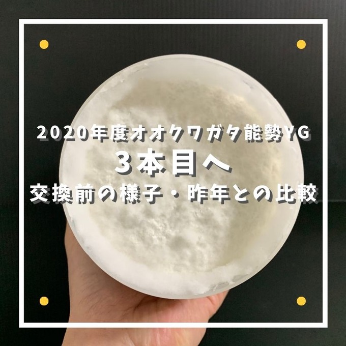 3本目へ (1)