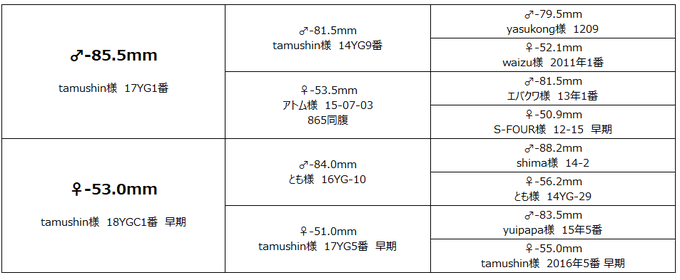 tamushinさん里子
