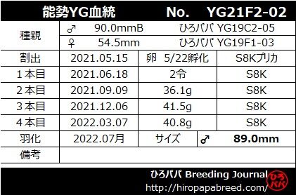 YG21F2-02ラベル