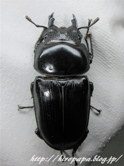 B2-02