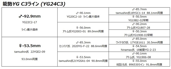 YG24C3