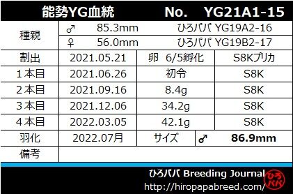 YG21A1-15ラベル