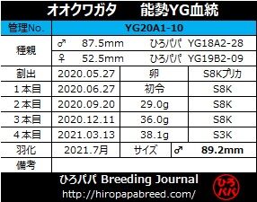 YG20A1-10ラベル