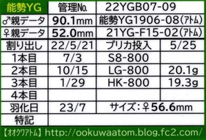 アトム氏22YGB07-09ラベル