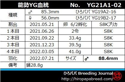 YG21A1-02ラベル