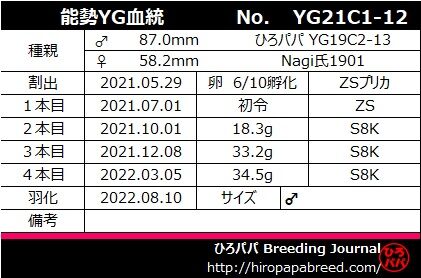 YG21C1-12ラベル