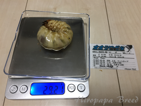 YG17C-04 (3)