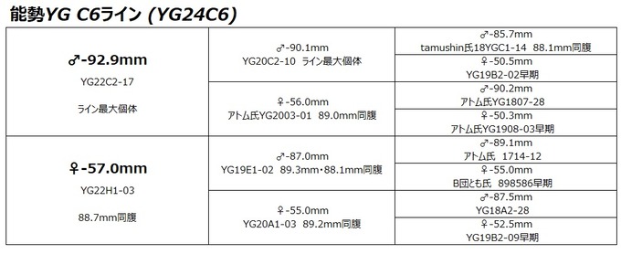 YG24C6