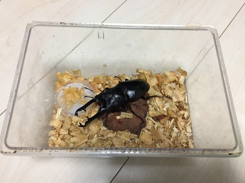 クリアスライダー (2)