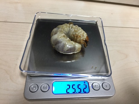 YG17C-02 2本目 (2)
