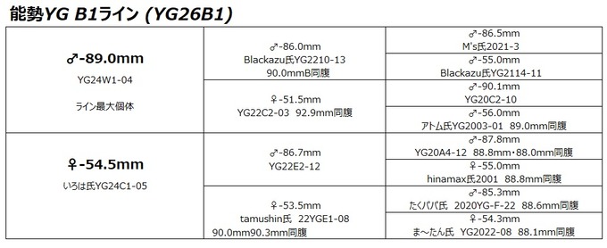 YG26B1ライン