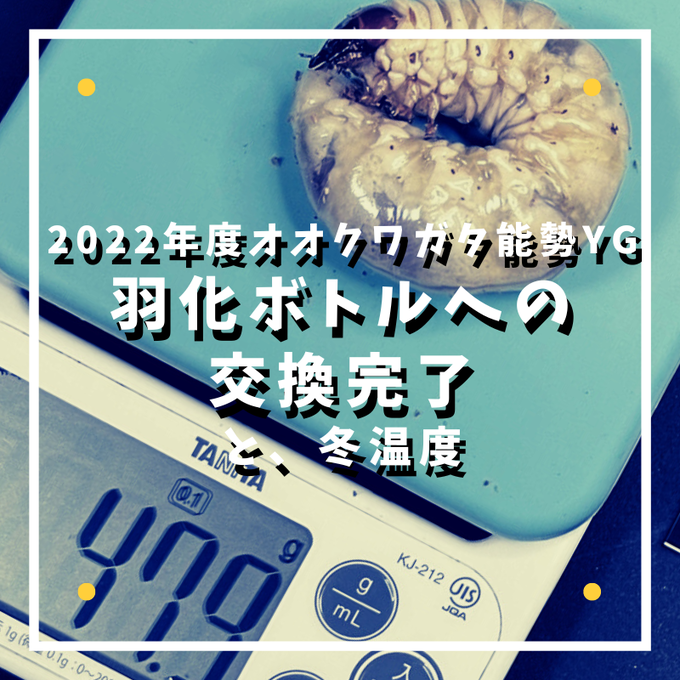 4本目への交換完了と冬温度 (1)
