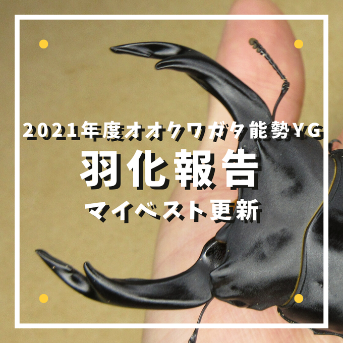 2021年度羽化報告