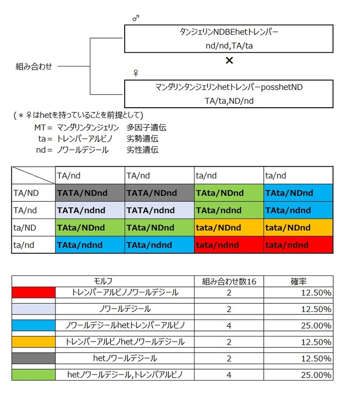 遺伝2