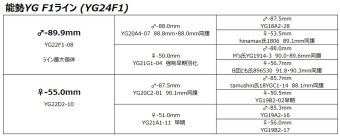 YG24F1