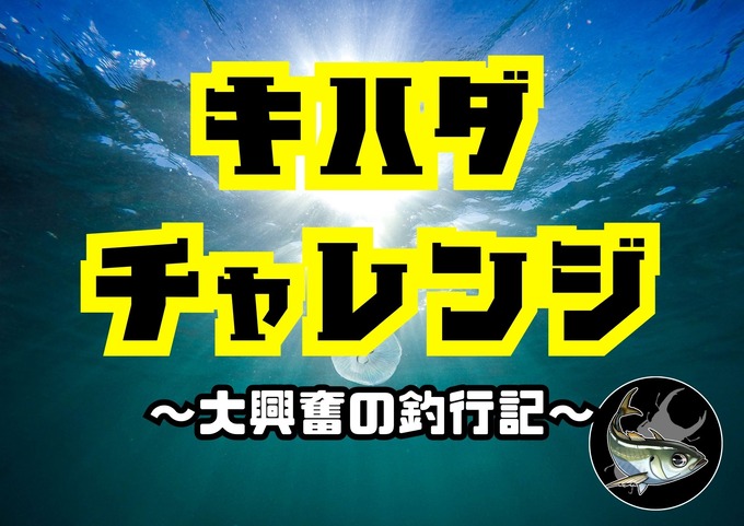 キハダ チャレンジ