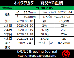 YG20C2-05ラベル