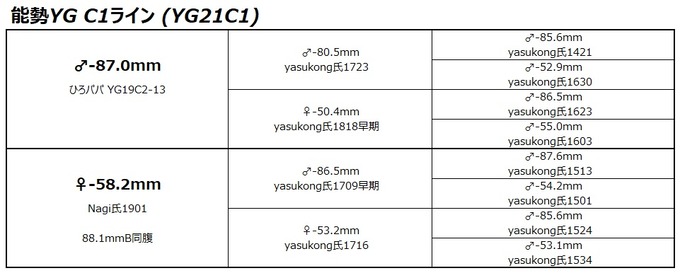YG21C1ライン