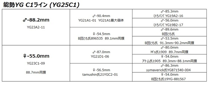 YG25C1ライン