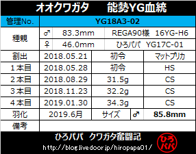 YG18A3-02