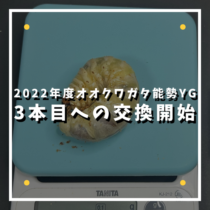 2022年度3本目への交換開始
