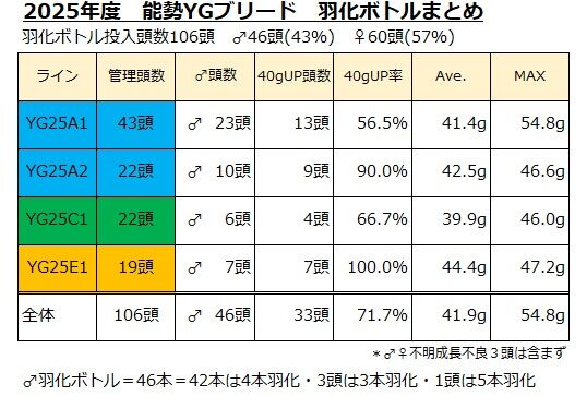 2025羽化ボトルまとめ