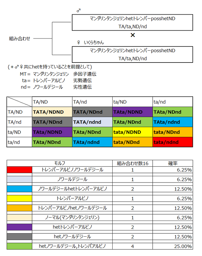モルフ遺伝