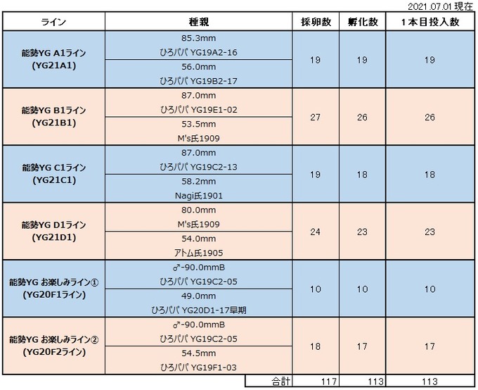 20211本目投入数