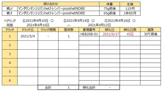 いくらブリード記録