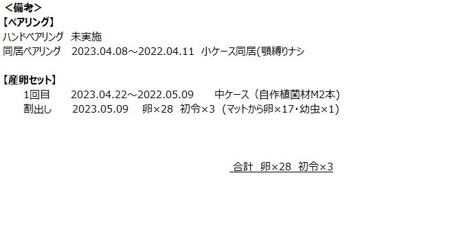 B2セット