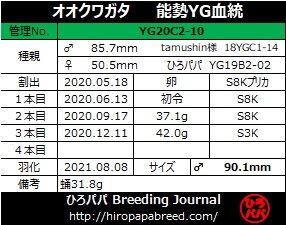 YG20C2-10ラベル