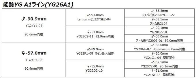 YG26A1ライン