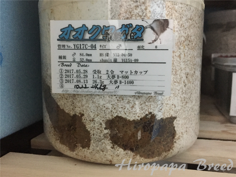 YG17C-04