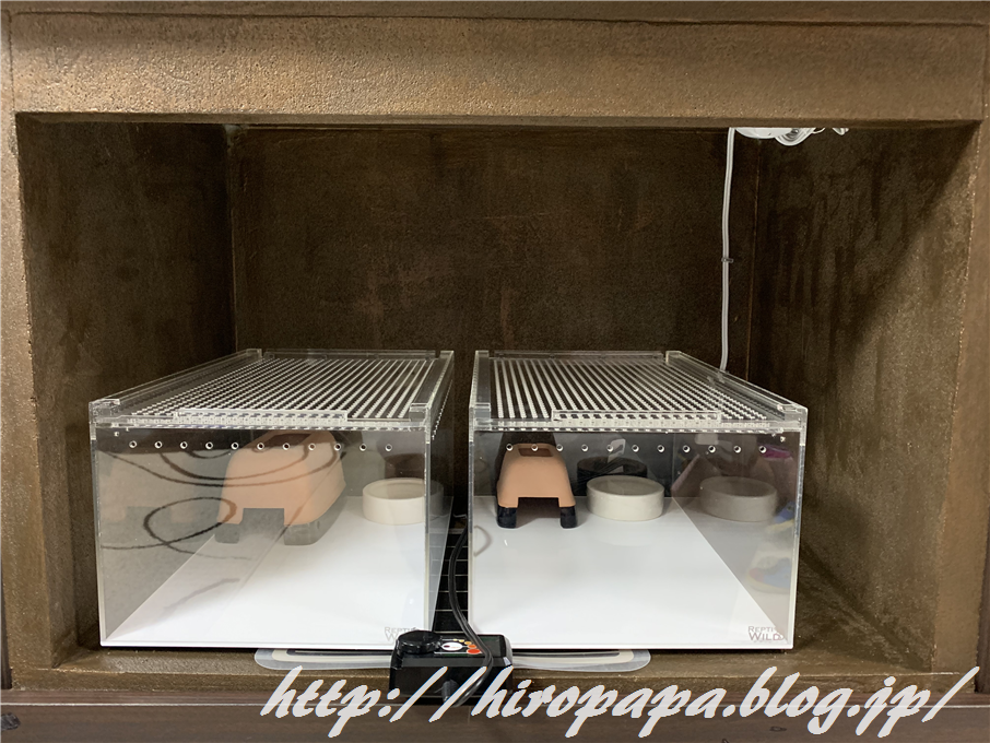 爬虫類関連用品 レプタイルボックス パネルヒータ 暖トツ 温度計 湿度