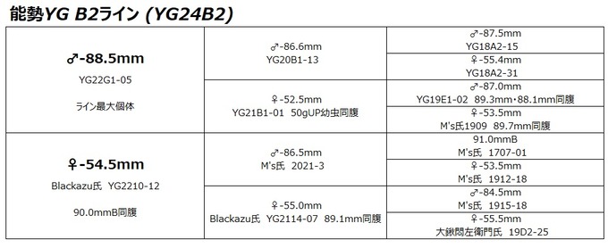 YG24B2
