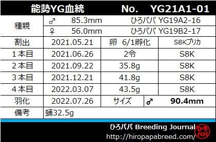 YG21A1-01ラベル