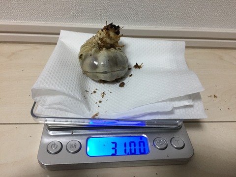 YG17C-09