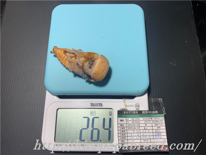 YG20C2-22