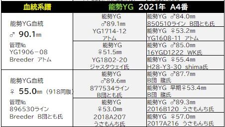 アトム氏2021年A4番